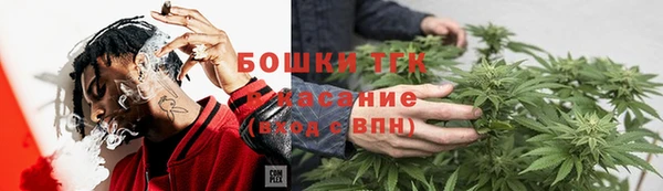 ГАЛЛЮЦИНОГЕННЫЕ ГРИБЫ Верея